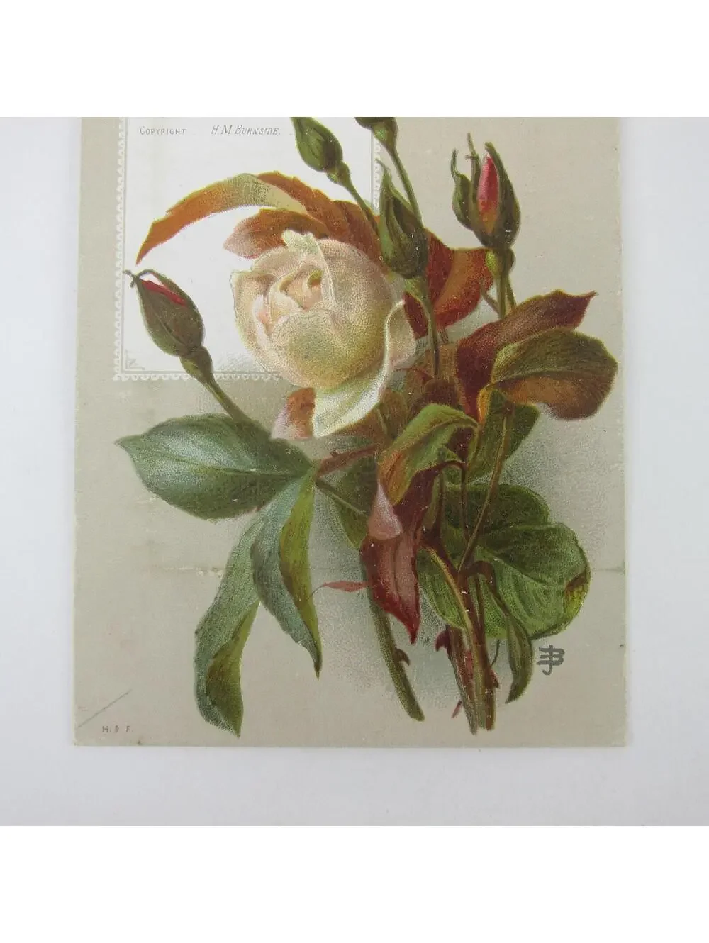 Victorian Greeting Card Birthday White & Pink Roses Flowers Antique